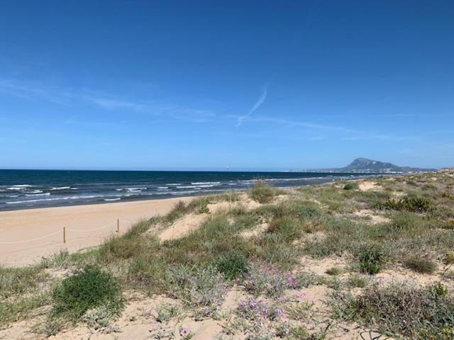 Palmeras En La Playa - Beach House In 奥利瓦 外观 照片