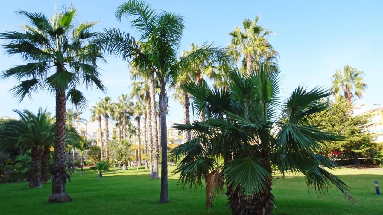 Palmeras En La Playa - Beach House In 奥利瓦 外观 照片